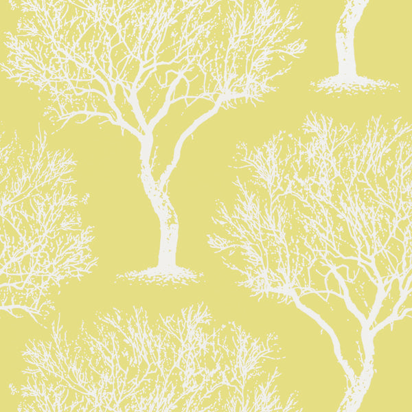 Winfell Forest, Citron Wallcoverings | Thibaut