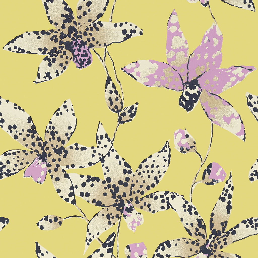 Spotted Orchid Wallpaper | Anna French Wallpaper | Anna French Wallcovering