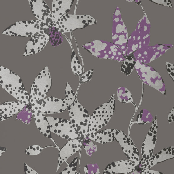 Spotted Orchid, Silver on Charcoal Wallcoverings | Thibaut