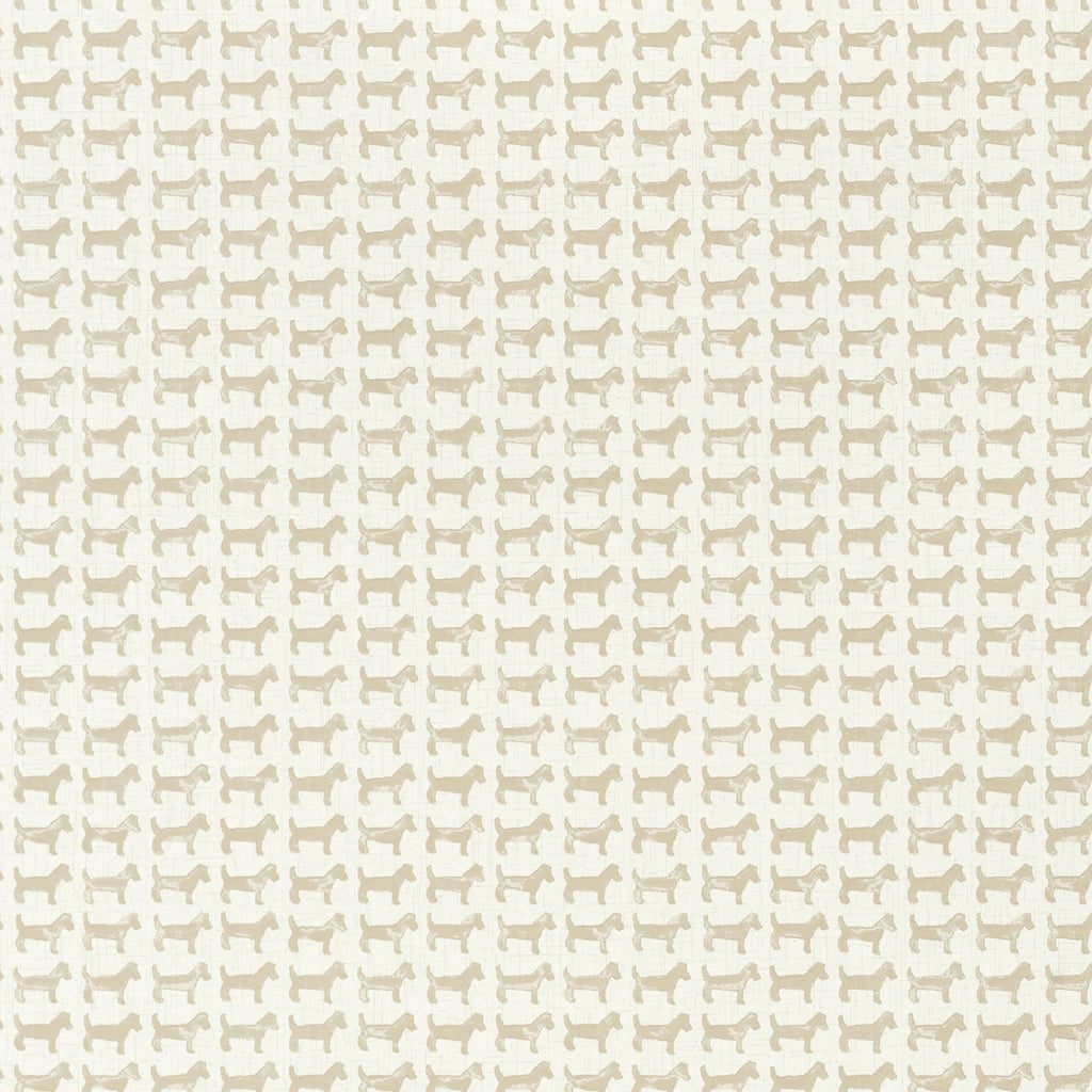 Baxter, Beige
