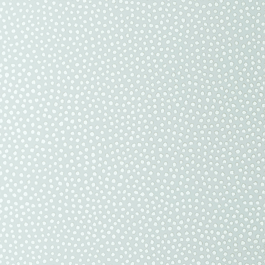 Davis Dot, Aqua