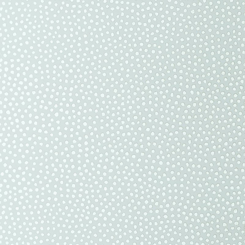 Davis Dot, Aqua