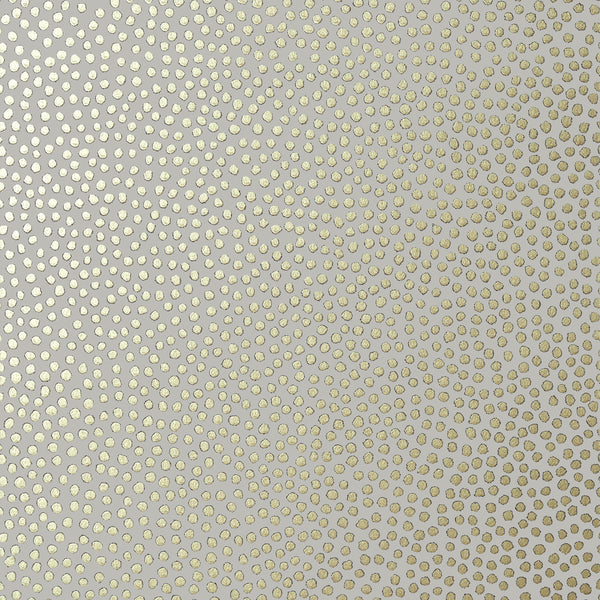 Davis Dot, Metallic Gold on Pewter Wallcoverings | Thibaut