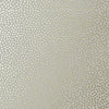 Davis Dot, Metallic Gold on Pewter