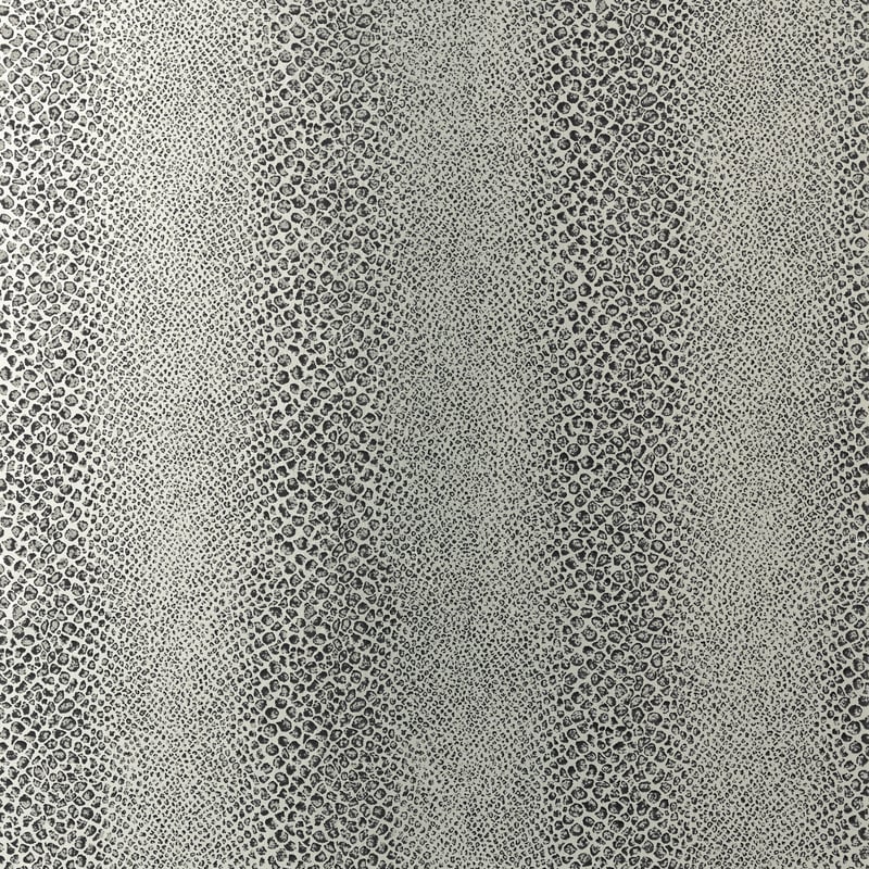 Mamba, Black on Mylar
