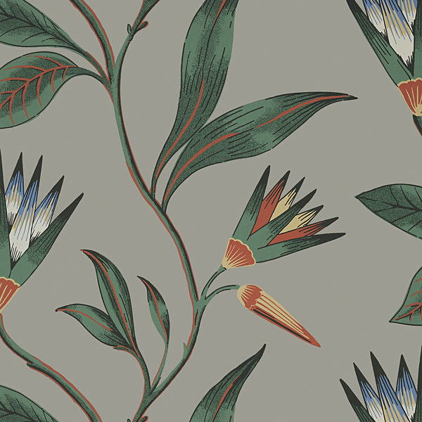 Cleo Vine, Charcoal Wallcoverings | Thibaut