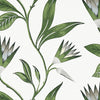 Cleo Vine | Anna French Wallcovering | Anna French Wallcovering