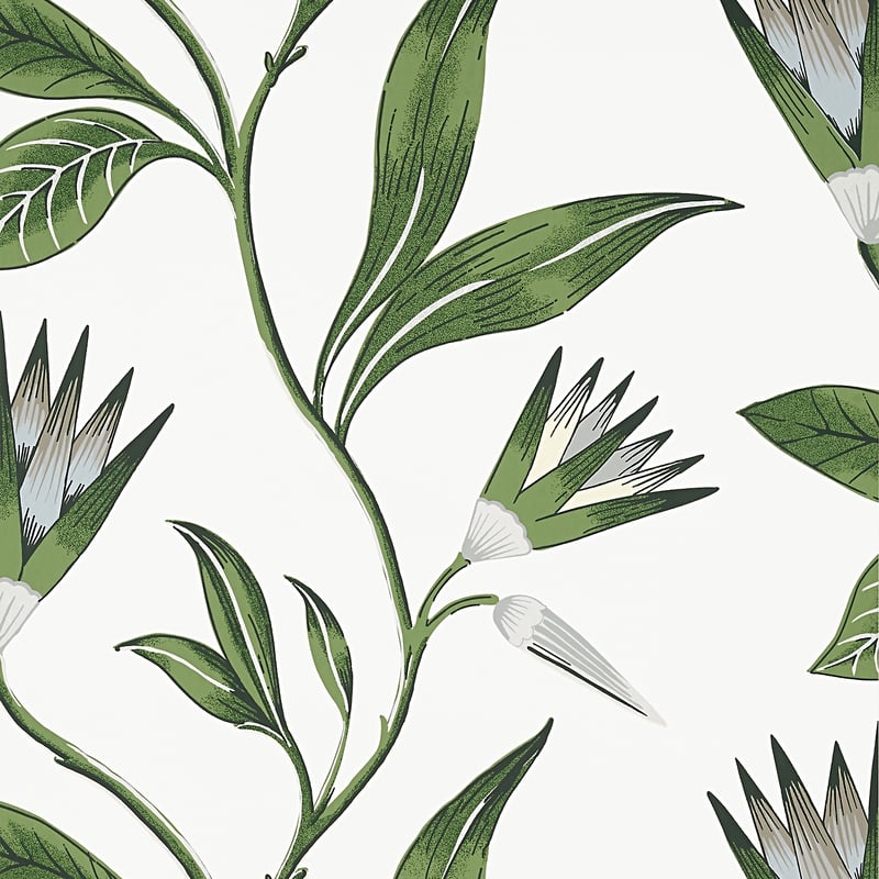 Cleo Vine, Green and White