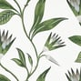 Cleo Vine, Green and White