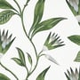 Cleo Vine, Green and White
