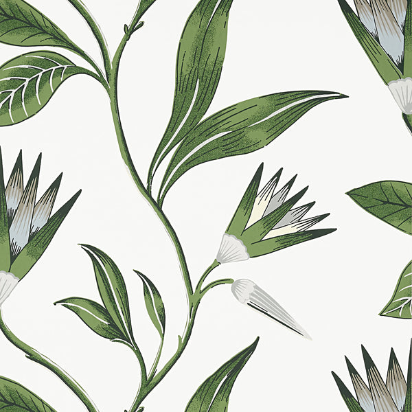 Cleo Vine, Green and White Wallcoverings | Thibaut