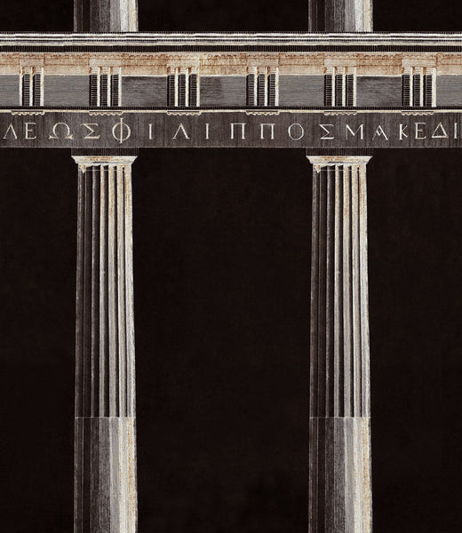 Athena Anthracite Wallpaper | Mind The Gap