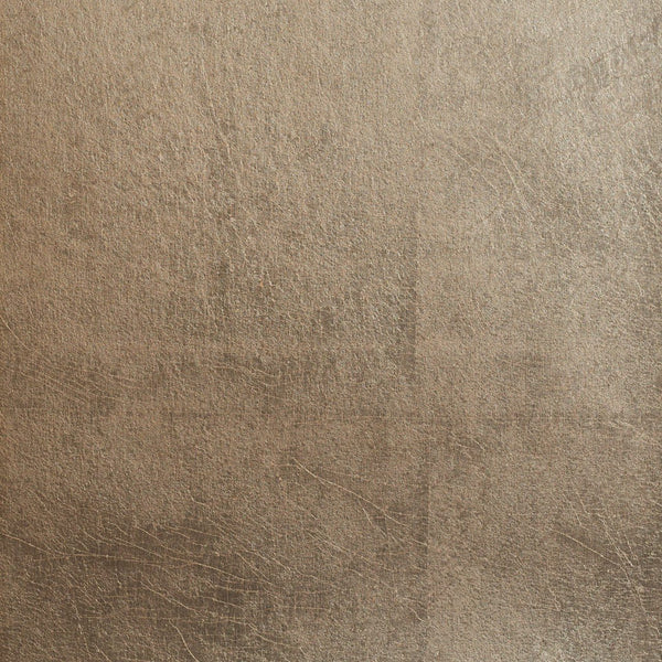 Polissé Plain Champagne & Silver | Maison Neva