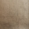 Polissé Plain Champagne & Silver