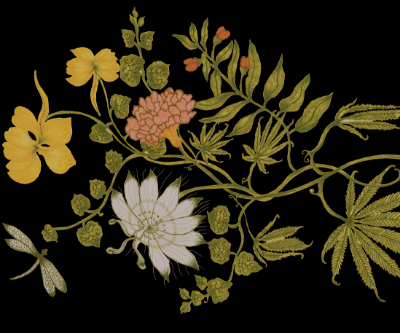 Aunt Jane Black  Wallpaper (Srd-Aja-01) | Sarah Rowland | Koroseal