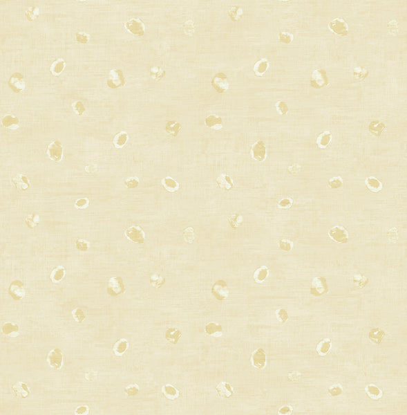 Malibu Hubble Dots Wallpaper - Transitional Polka Dots - Metallic Chanmpagne | Malibu Wallpaper