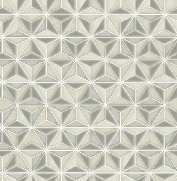 Einstein Geometric Transitional Geometric - Metallic Gold and Metallic Silver | Architectural Wallcoverings