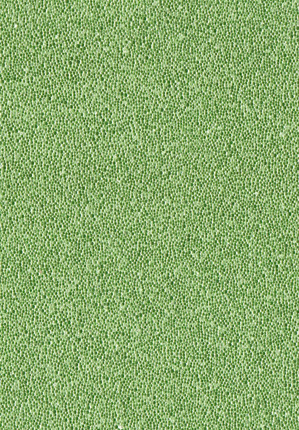 Alassio Sage | Fentucci Naturals