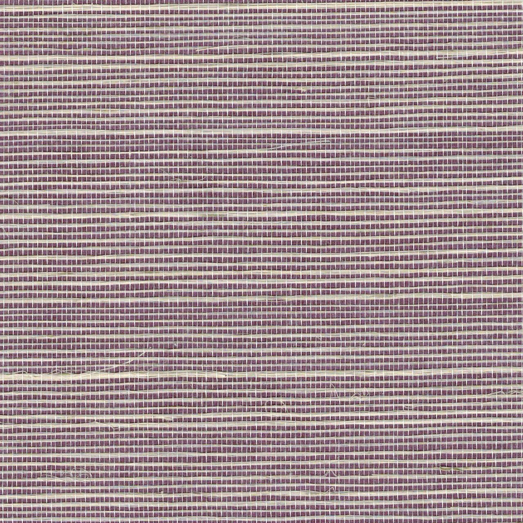 Abacca Extra Purple