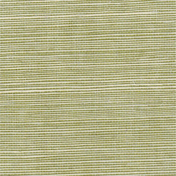 Abacca Extra Olive | Fausel Biskamp