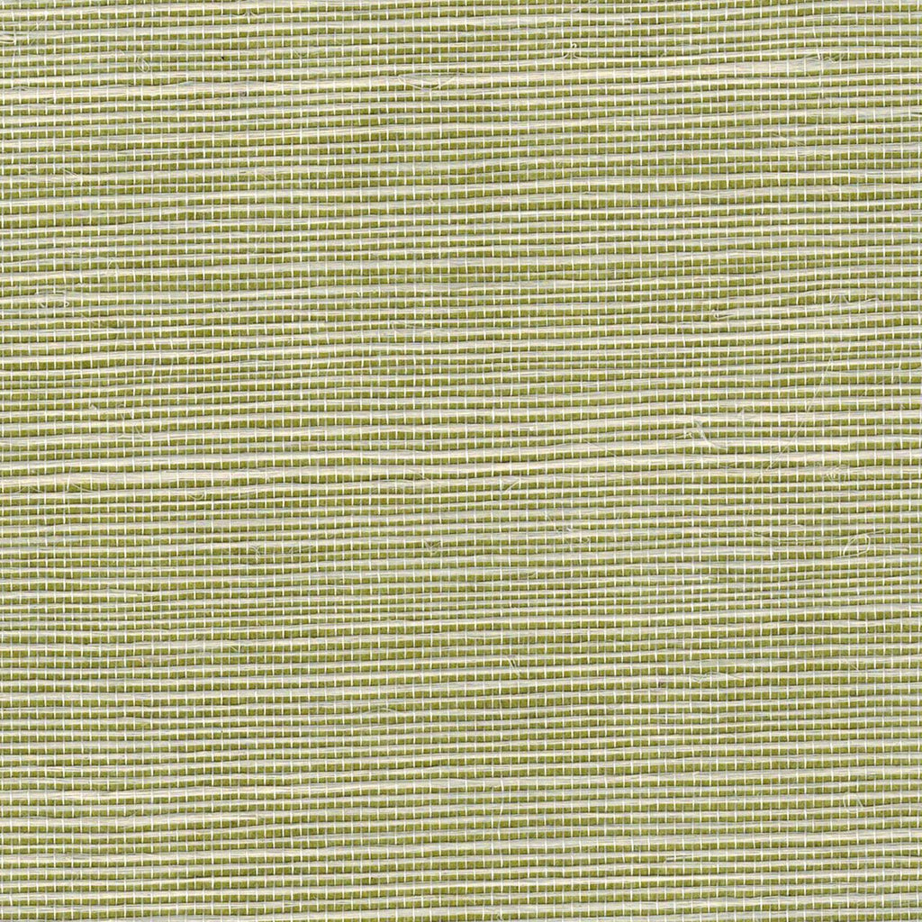 Abacca Extra Olive