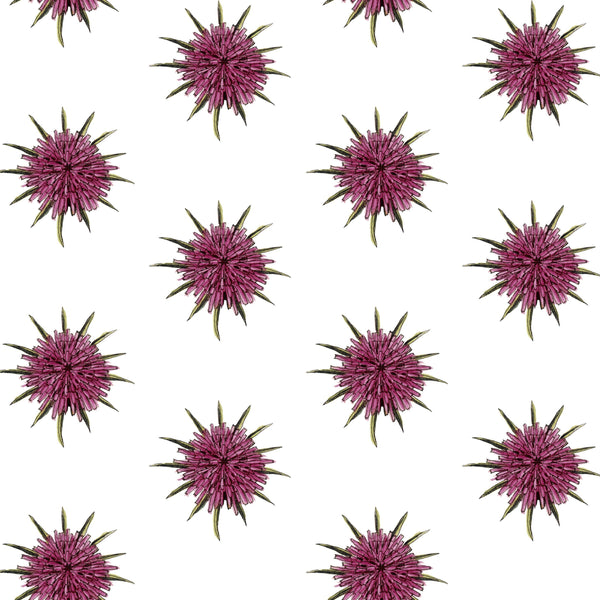 This'll Be My Year | Abnormals Anonymous Wallcovering