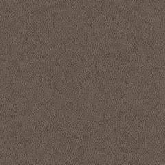Hawksbill - Pewter Vegan Leather | Phillipe Romano