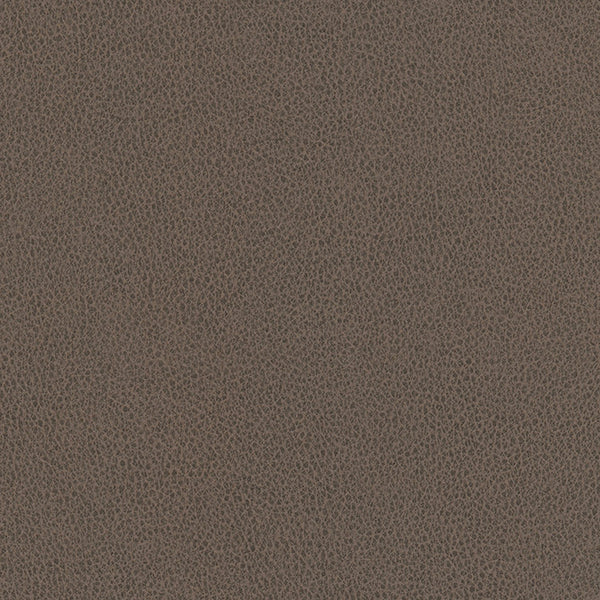 Hawksbill - Pewter Vegan Leather | Phillipe Romano