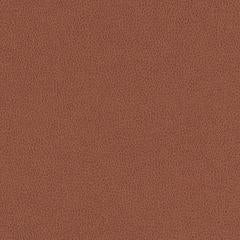 Hawksbill - Terracotta Vegan Leather | Phillipe Romano