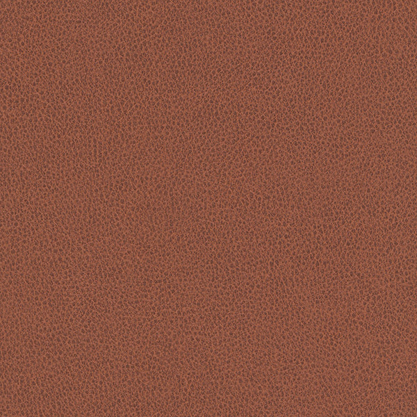 Hawksbill - Terracotta Vegan Leather | Phillipe Romano