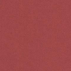 Hawksbill - Terra Cotta Vegan Leather | Phillipe Romano