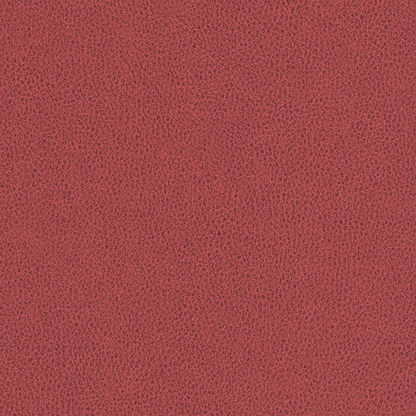 Hawksbill - Terra Cotta Vegan Leather | Phillipe Romano