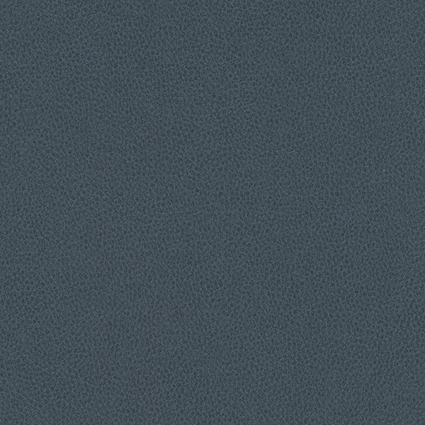 Hawksbill - Azure Vegan Leather | Phillipe Romano