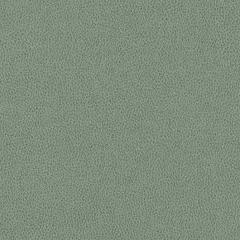 Hawksbill - Sage Vegan Leather | Phillipe Romano