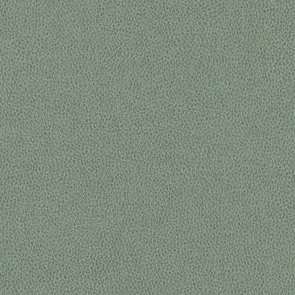 Hawksbill - Sage Vegan Leather | Phillipe Romano