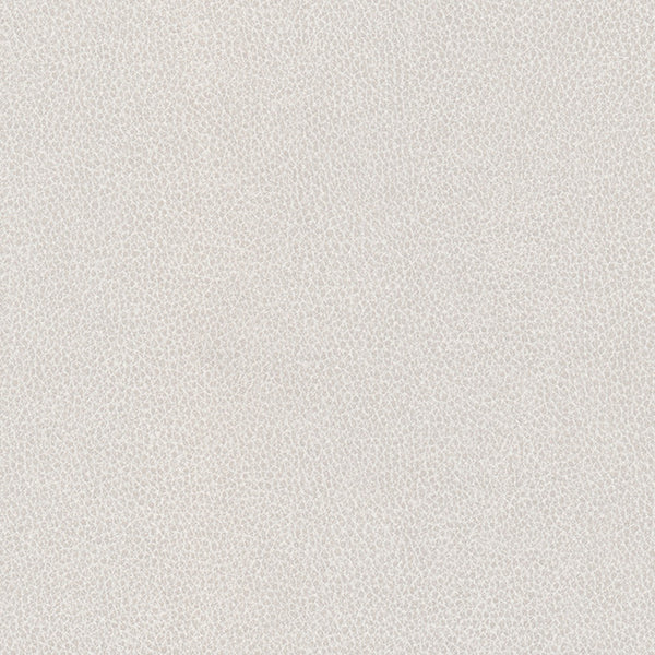Hawksbill - Ivory Vegan Leather | Phillipe Romano