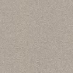 Hawksbill - Driftwood Vegan Leather | Phillipe Romano