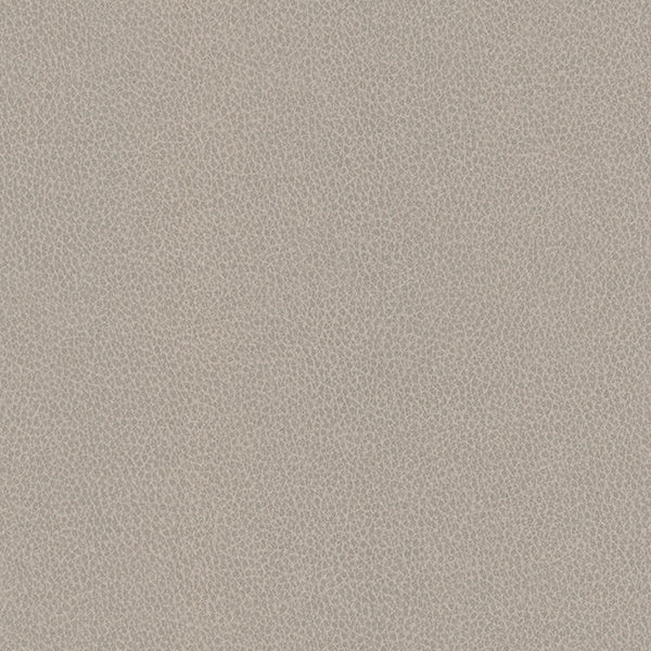 Hawksbill - Driftwood Vegan Leather | Phillipe Romano
