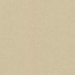 Hawksbill - Linen Vegan Leather | Phillipe Romano