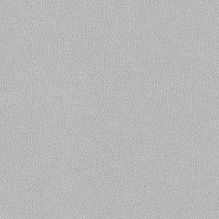 Hawksbill - Silver Vegan Leather | Phillipe Romano