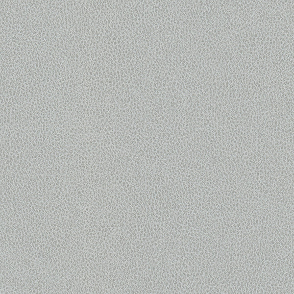 Hawksbill - Silver Vegan Leather | Phillipe Romano