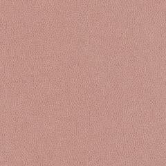 Hawksbill - Dusty Rose Vegan Leather | Phillipe Romano