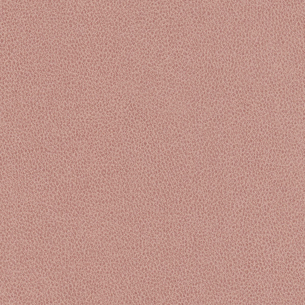 Hawksbill - Dusty Rose Vegan Leather | Phillipe Romano