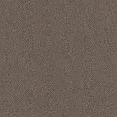 Hawksbill - Greige Vegan Leather | Phillipe Romano