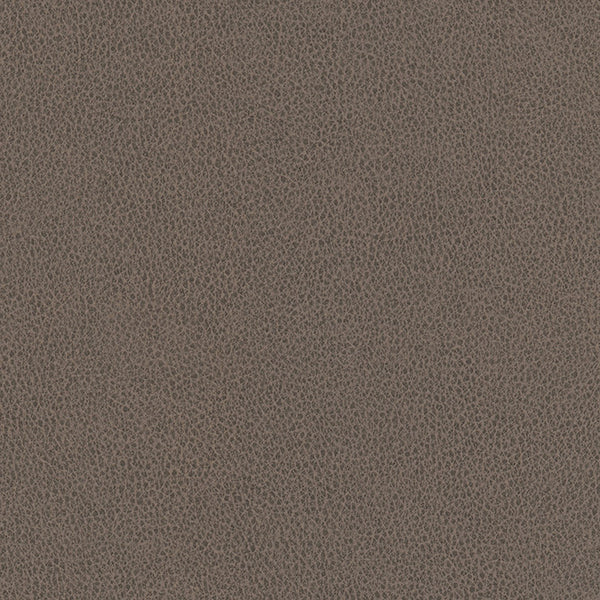 Hawksbill - Greige Vegan Leather | Phillipe Romano