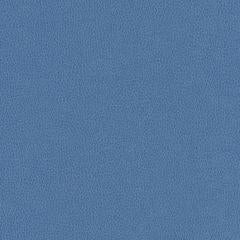 Hawksbill - Cerulean Vegan Leather | Phillipe Romano