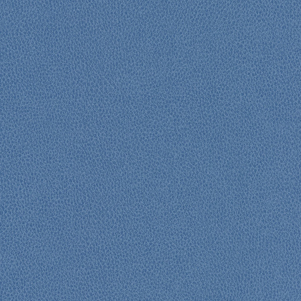 Hawksbill - Cerulean Vegan Leather | Phillipe Romano