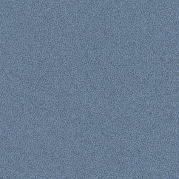 Hawksbill - Baltic Vegan Leather | Phillipe Romano