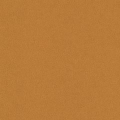 Hawksbill - Walnut Vegan Leather | Phillipe Romano