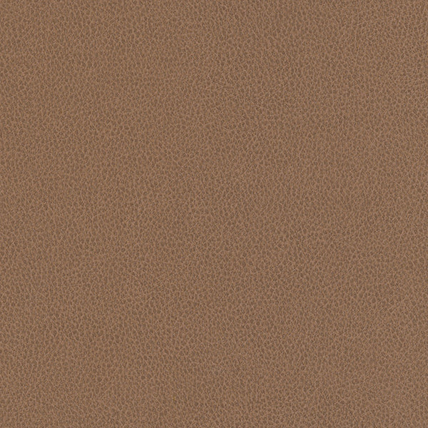 Hawksbill - Dune Vegan Leather | Phillipe Romano